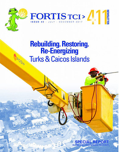 Fortis-Newsletter-Cover2